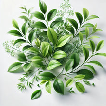 Green Notes