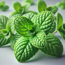 Mint