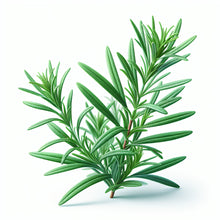 Tarragon