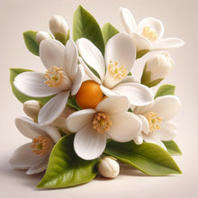 Orange Blossom
