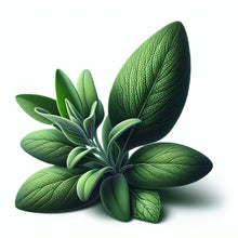 Sage
